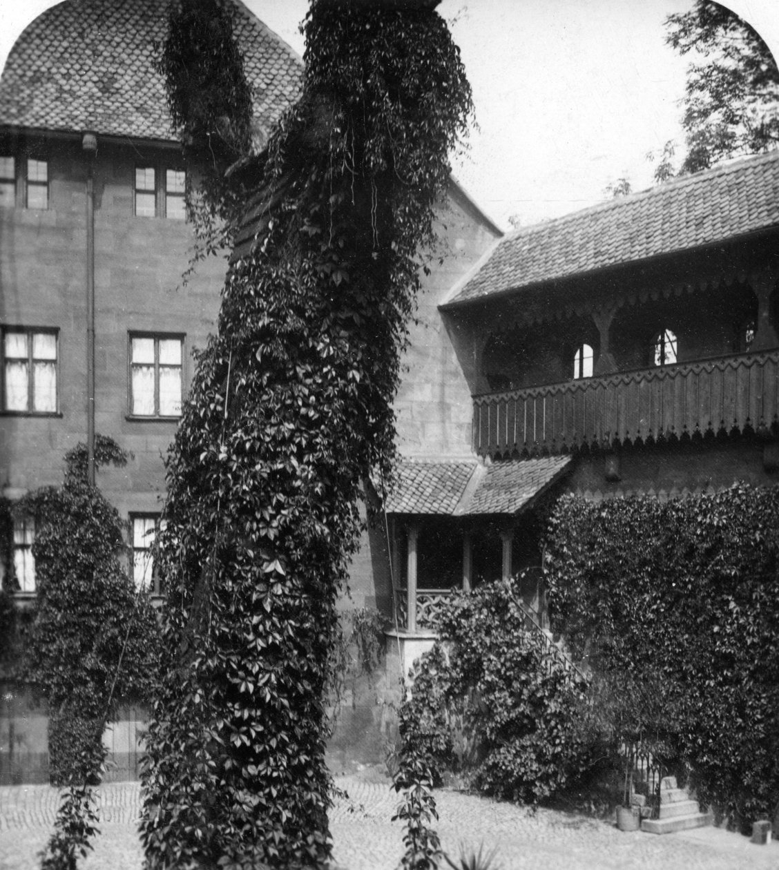 Hársfa az udvarban, Nürnberg, Bajorország, Németország, 1900-as évek. alkotó: Wurthle and Sons