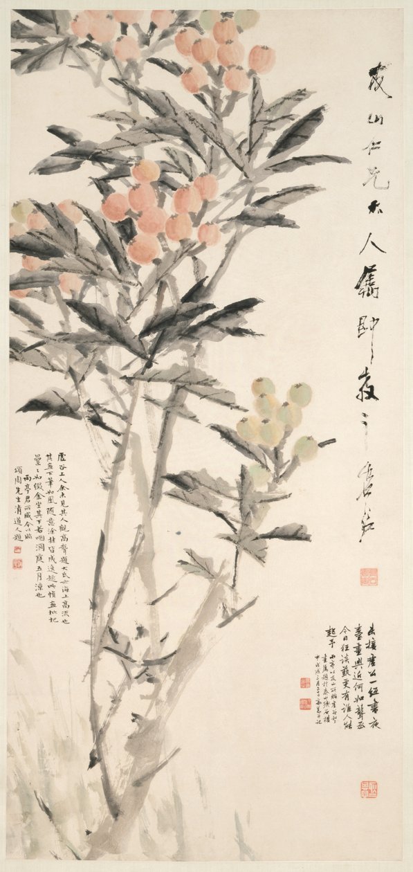 Pipa naspolya, c. 1888-89. alkotó: Xugu