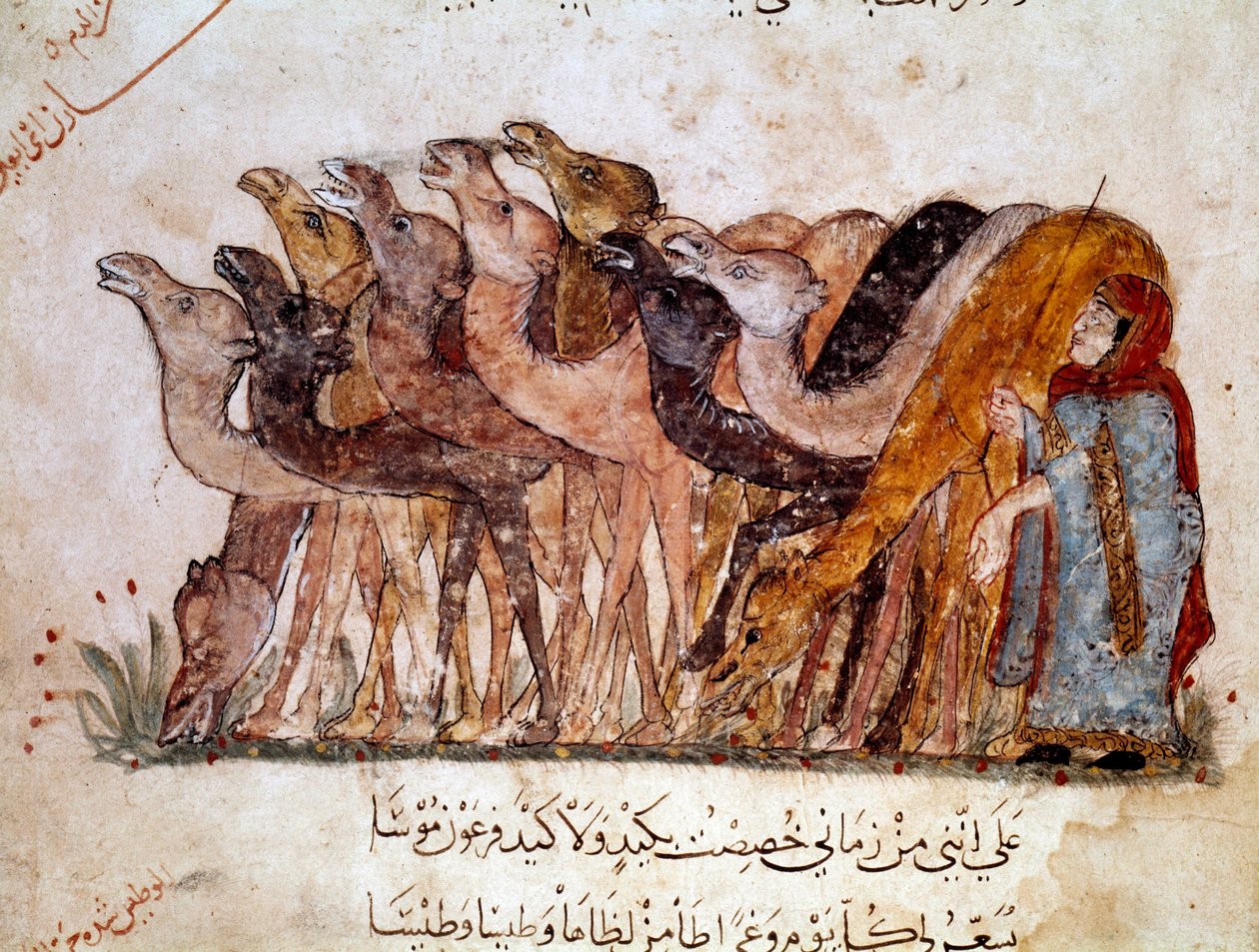Egy csoport teve és teve, karaván a sivatagban. A „Maqamat” (Szeances) oldala, Abu Mohammed al-Kasim ibn Ali Hariri (vagy Al-Hariri vagy Al Hariri) (1054-1122) arab költő 11. századi pikareszk verse, Al-Wasiti (al) illusztrálásával -Wasiti) alkotó: Yahya ibn Mahmud Al Wasiti