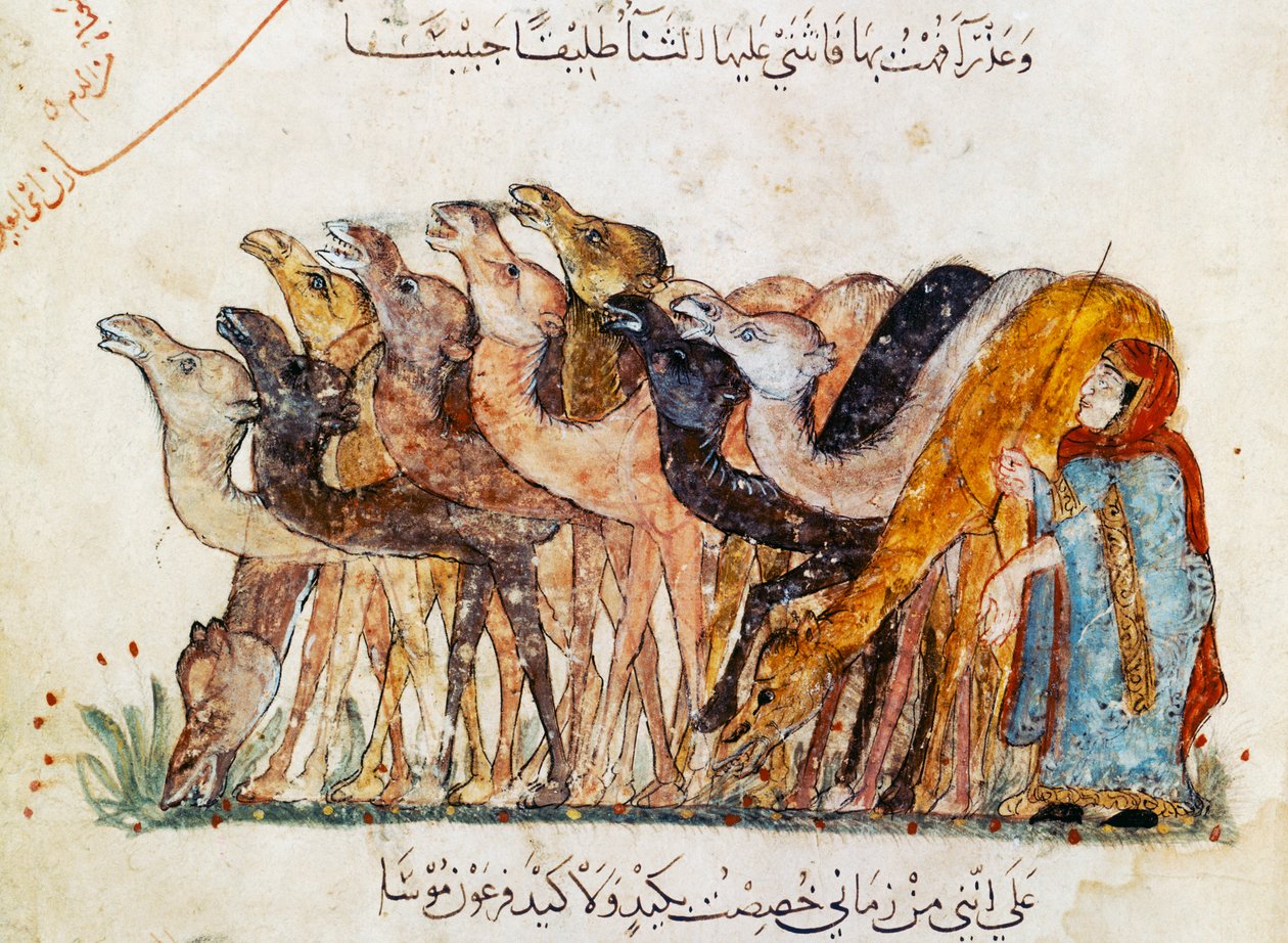 Ms Ar 5847 f.101, Tevecsorda, Al Hariri „Al Maqamat” (The Meetings) című művéből, 1240 körül (lásd még: 1689970) alkotó: Yahya ibn Mahmud Al Wasiti