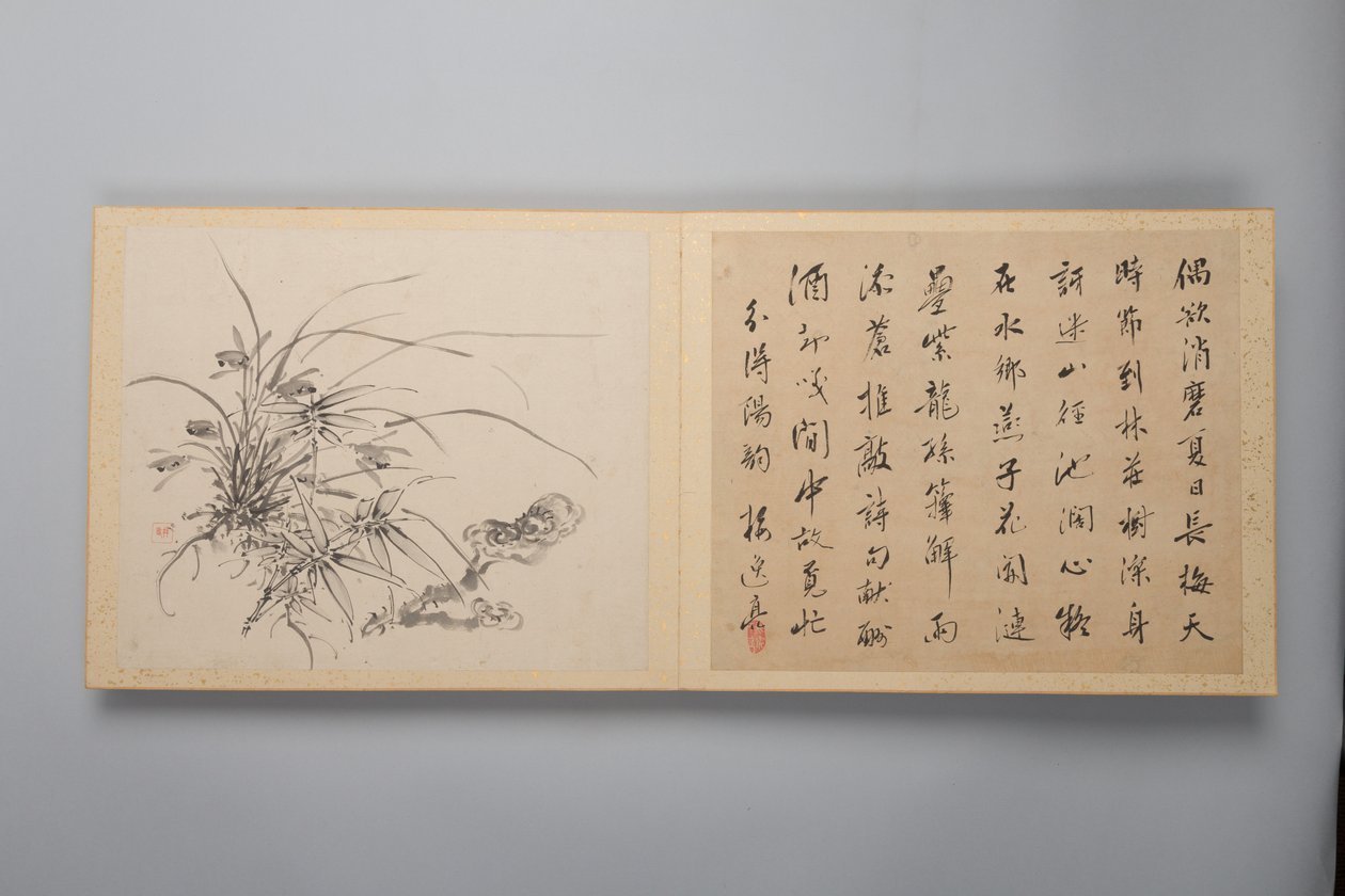 Kifinomult elegancia a négy évszakban Shiji seiga, Virágfestmények albuma, 1844. alkotó: Yamamoto Baiitsu