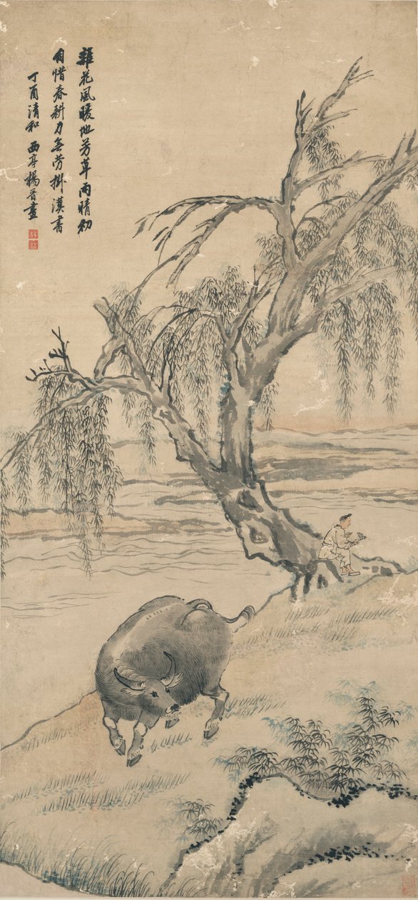 Bivaly a Willow Bankon alkotó: Yang Jin