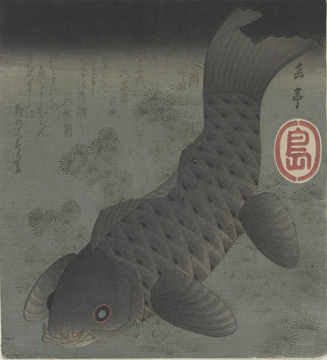 (Fekete ponty), 19. század közepe alkotó: Yashima Gakutei