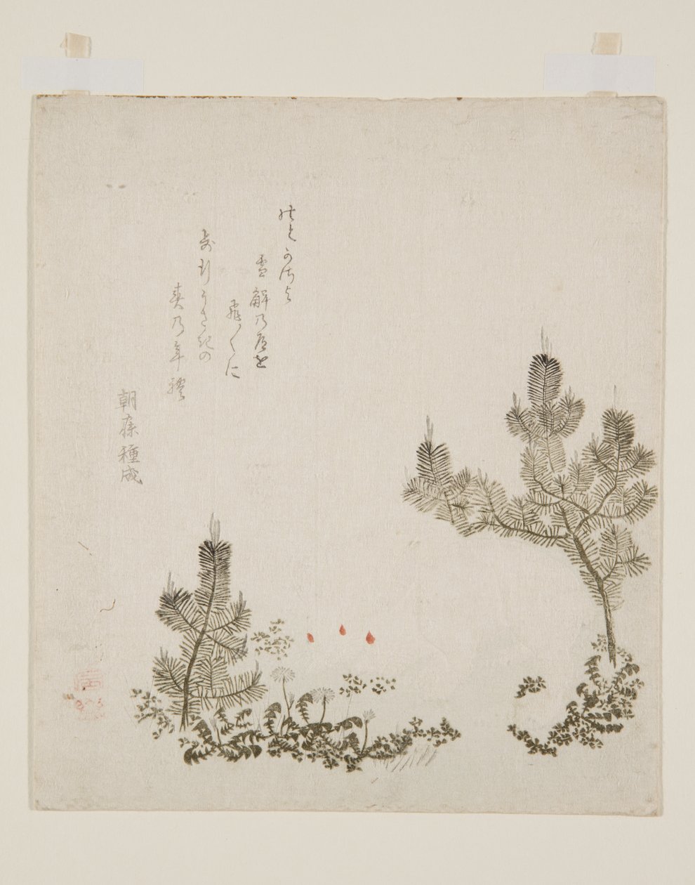 (színes fatömb nyomat) alkotó: Yashima Gakutei