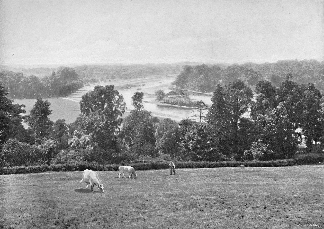 Richmond Hillből, Surreyből, 1896 alkotó: York and Son