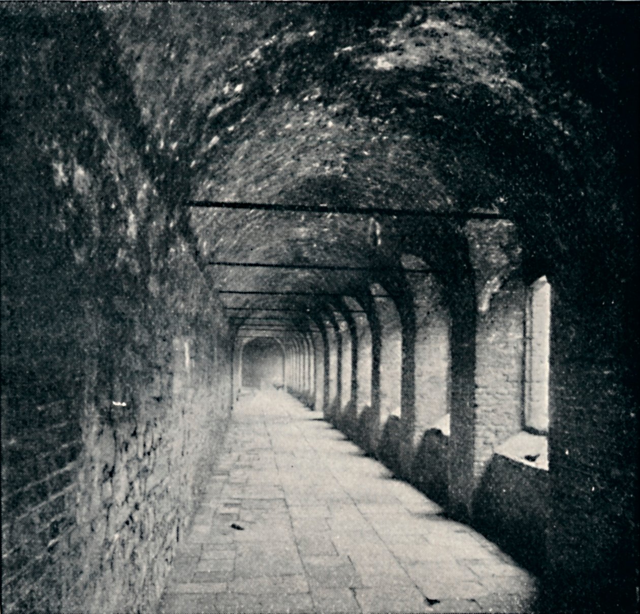 The Cloisters, Charterhouse, London, 1903 alkotó: York and Son