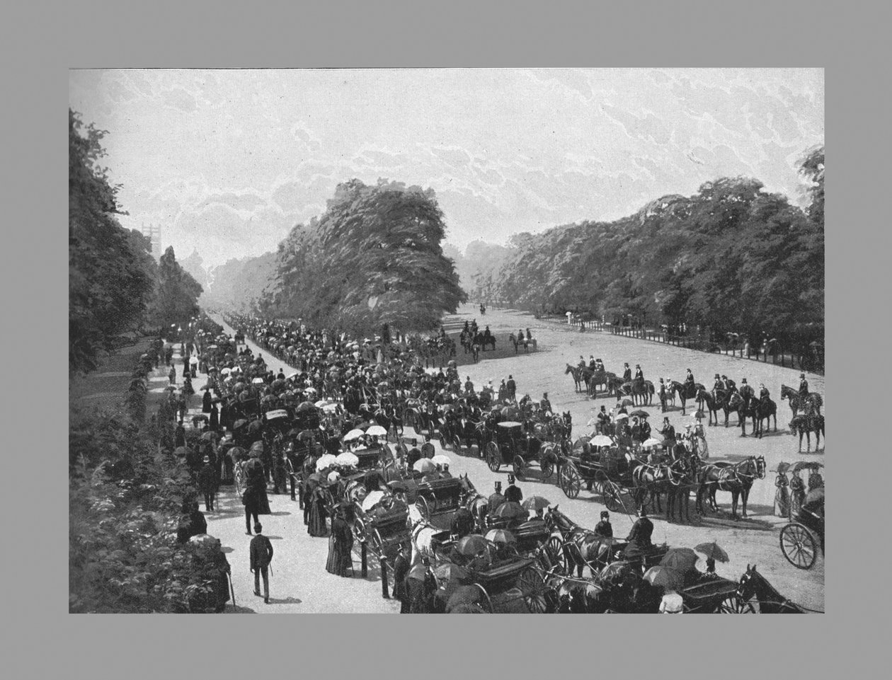 A Drive és a Rotten Row, Hyde Park, c1900 alkotó: York and Son