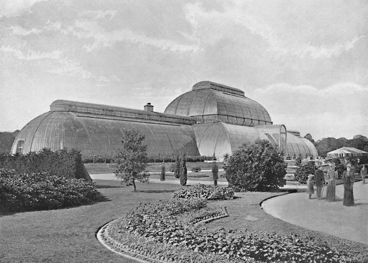The Great Palm House, Kew Gardens, 1896 alkotó: York and Son