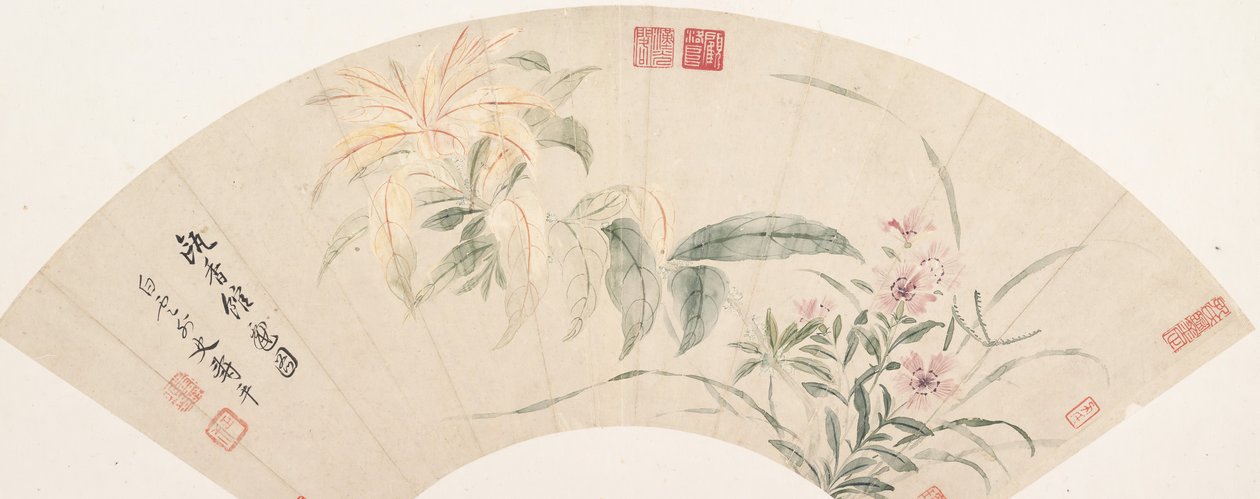 Szegfű és Amaranthus. alkotó: Shouping Yun
