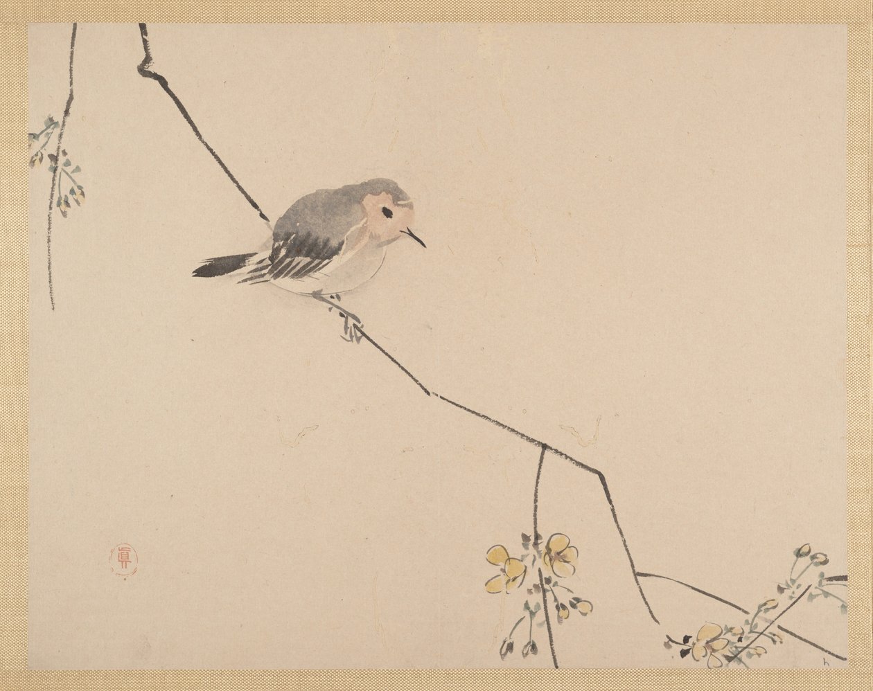  alkotó: Zeshin Shibata