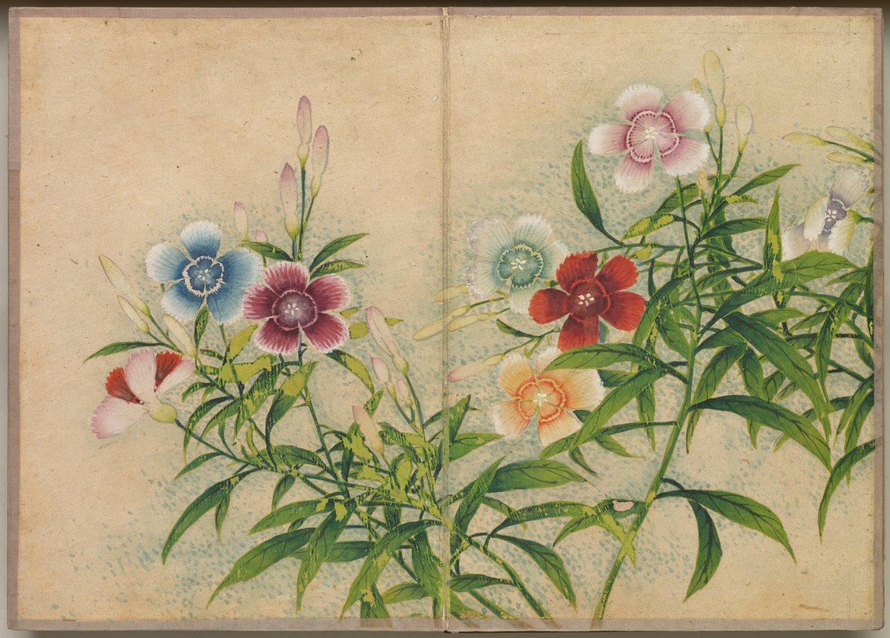 Asztali album: Virág és madár festmények Pinks, 18. század. alkotó: Zhang Ruoai