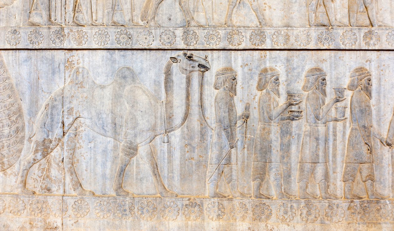 Az Achaemenidák ősi domborműve; a pártusok küldöttsége tevével; Apadana palota; régészeti lelőhely; ősi perzsa város Persepolis; UNESCO Világörökség része; Fars tartomány; Irán; Ázsia alkotó: Frederick (attr. to) Barnard