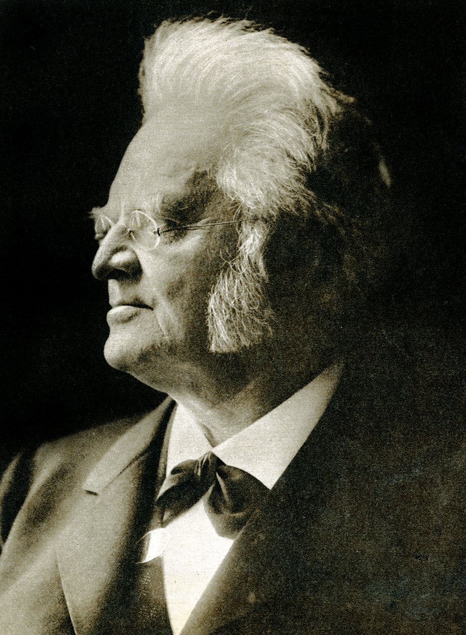 Bjornstjerne Bjornson (fotogravír) alkotó: Hippolyte Lalaise Devéria