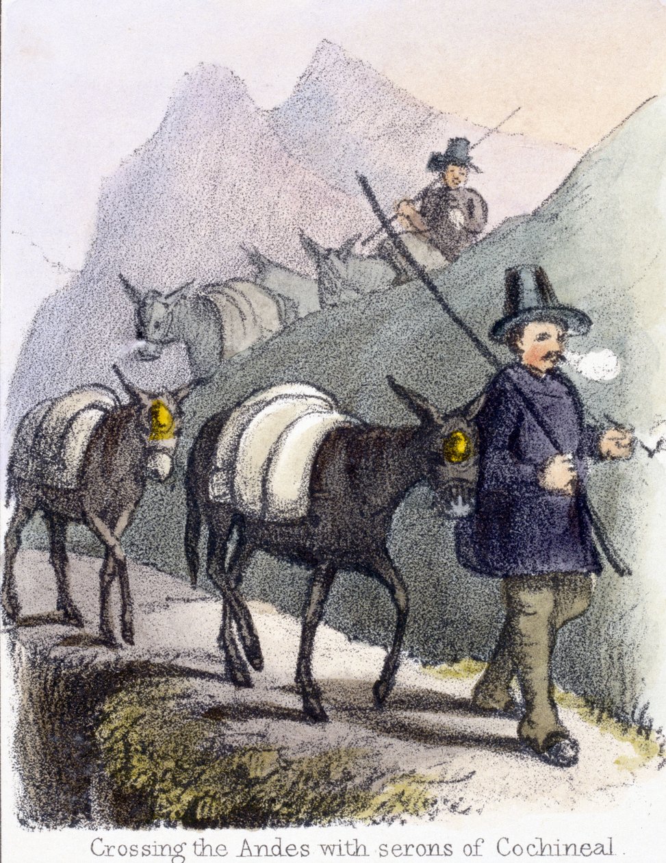 Átkelés az Andokon Cochineal szeronjaival”, 1845 alkotó: Frederick (attr. to) Barnard