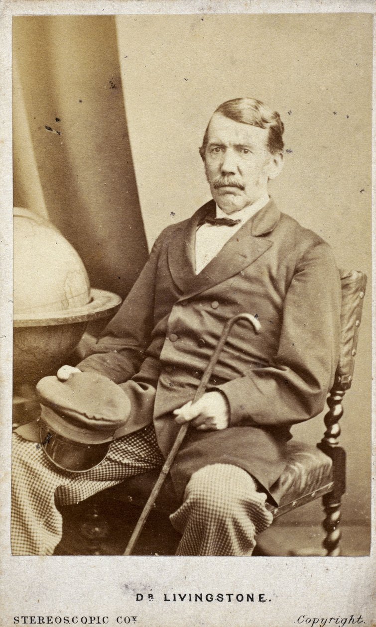 David Livingstone, skót misszionárius és felfedező, 1860 körül alkotó: Frederick (attr. to) Barnard