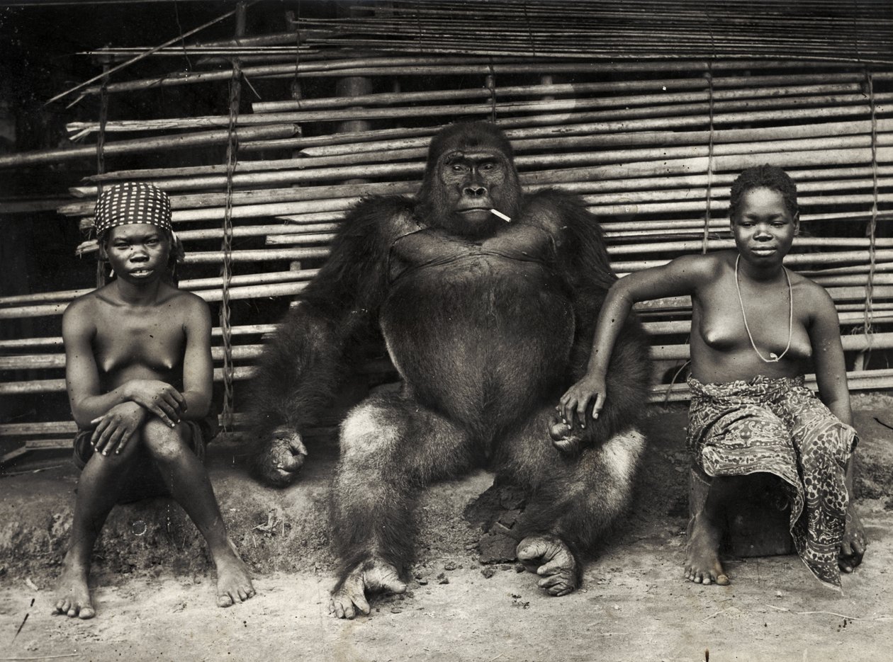 Gorilla (zselatin ezüst nyomat) alkotó: Hippolyte Lalaise Devéria