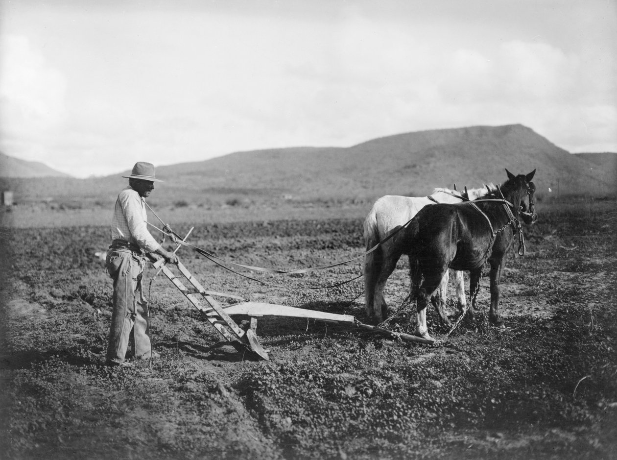 Földjét szántó indián, Sacaton Indian Reservation, Arizona, 1909 körül (f/w fotó) alkotó: . .