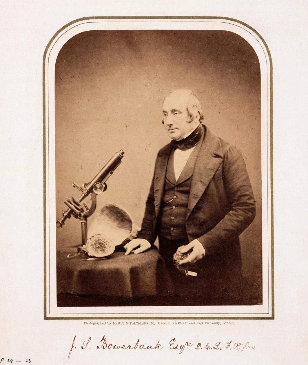 James Scott Bowerbank, brit geológus alkotó: Ferdinand Georg Waldmuller