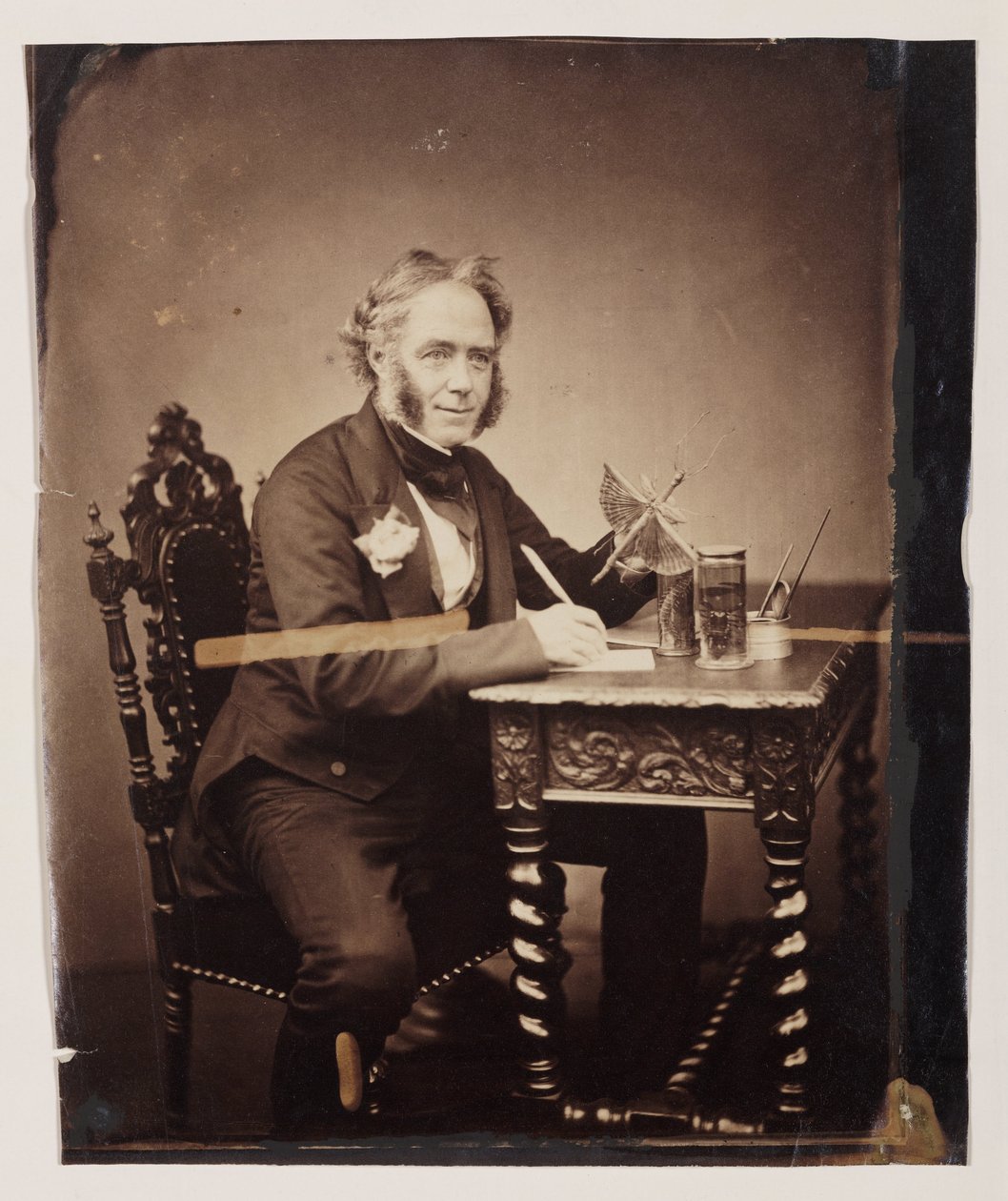 John Obadiah Westwood angol entomológus és paleográfus, 1850 körül alkotó: Ferdinand Georg Waldmuller