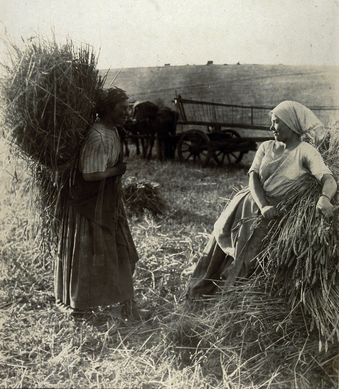 Aratógépek, 1900 körül alkotó: Frederick (attr. to) Barnard