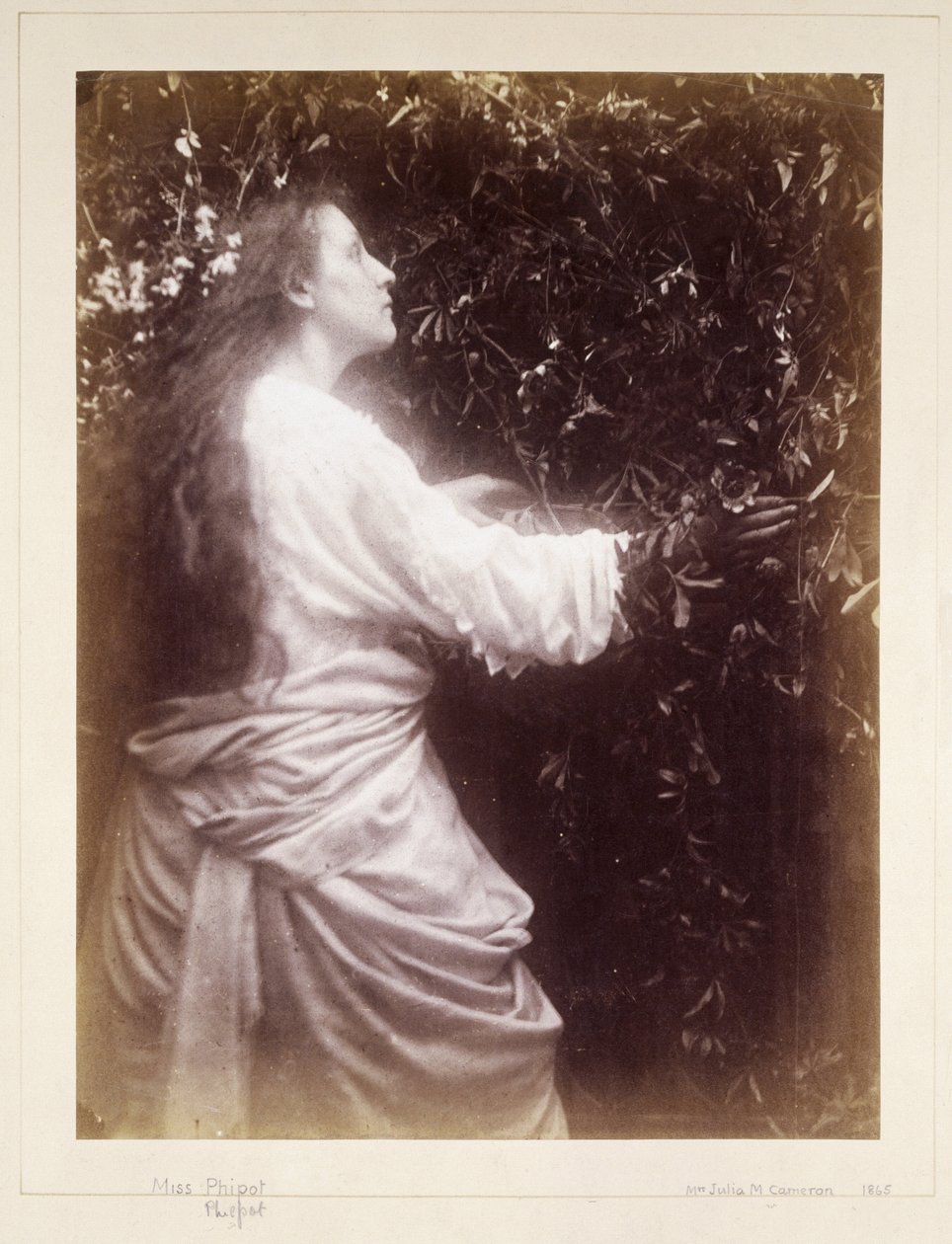 Mary Hillier, 1865 alkotó: John Pardon