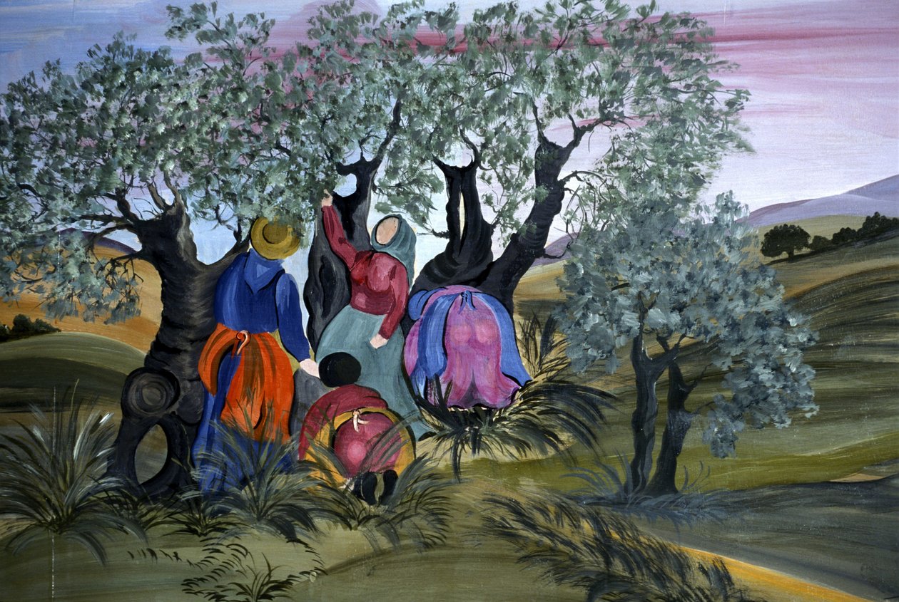 Olíva szedés, naiv Barbara Mencarelli, Mandoleto, Solomeo, Umbria, Olaszország alkotó: Henry Charles Fehr