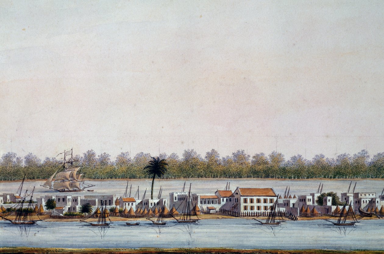 Kilátás St Louisra, Szenegálra alkotó: William Walcutt