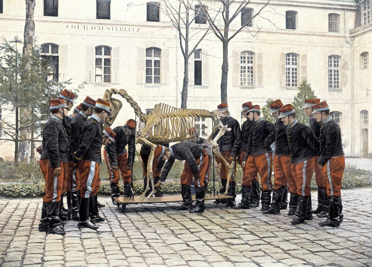 Saint-Cyr speciális katonai iskola alkotó: French School