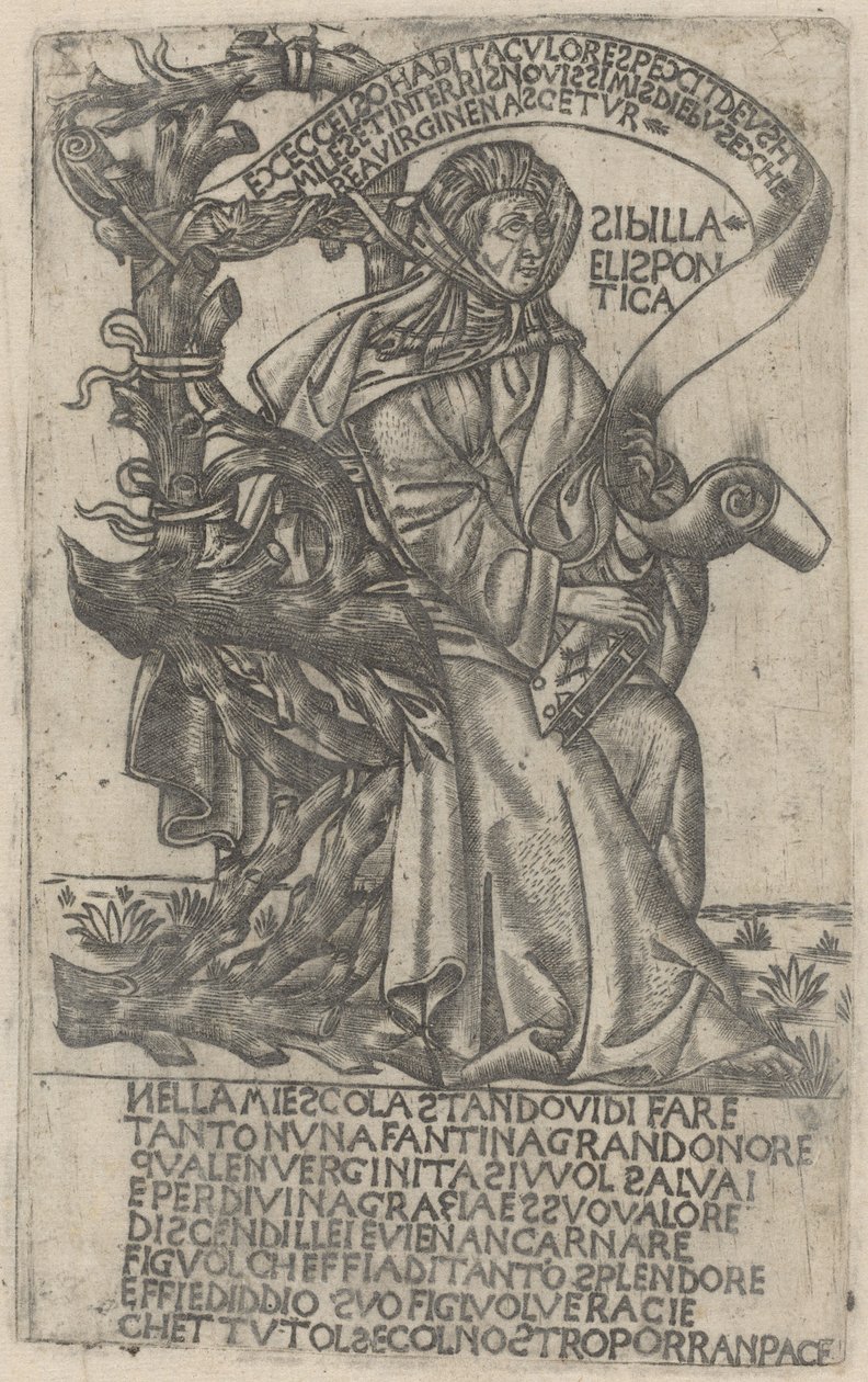 Hellészponti Szibilla alkotó: after Baccio Baldini