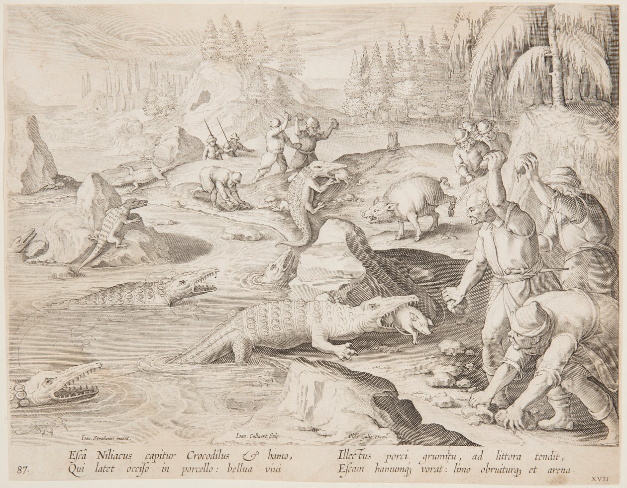 Krokodilvadászat alkotó: after Jan van der Straet, called Stradanus