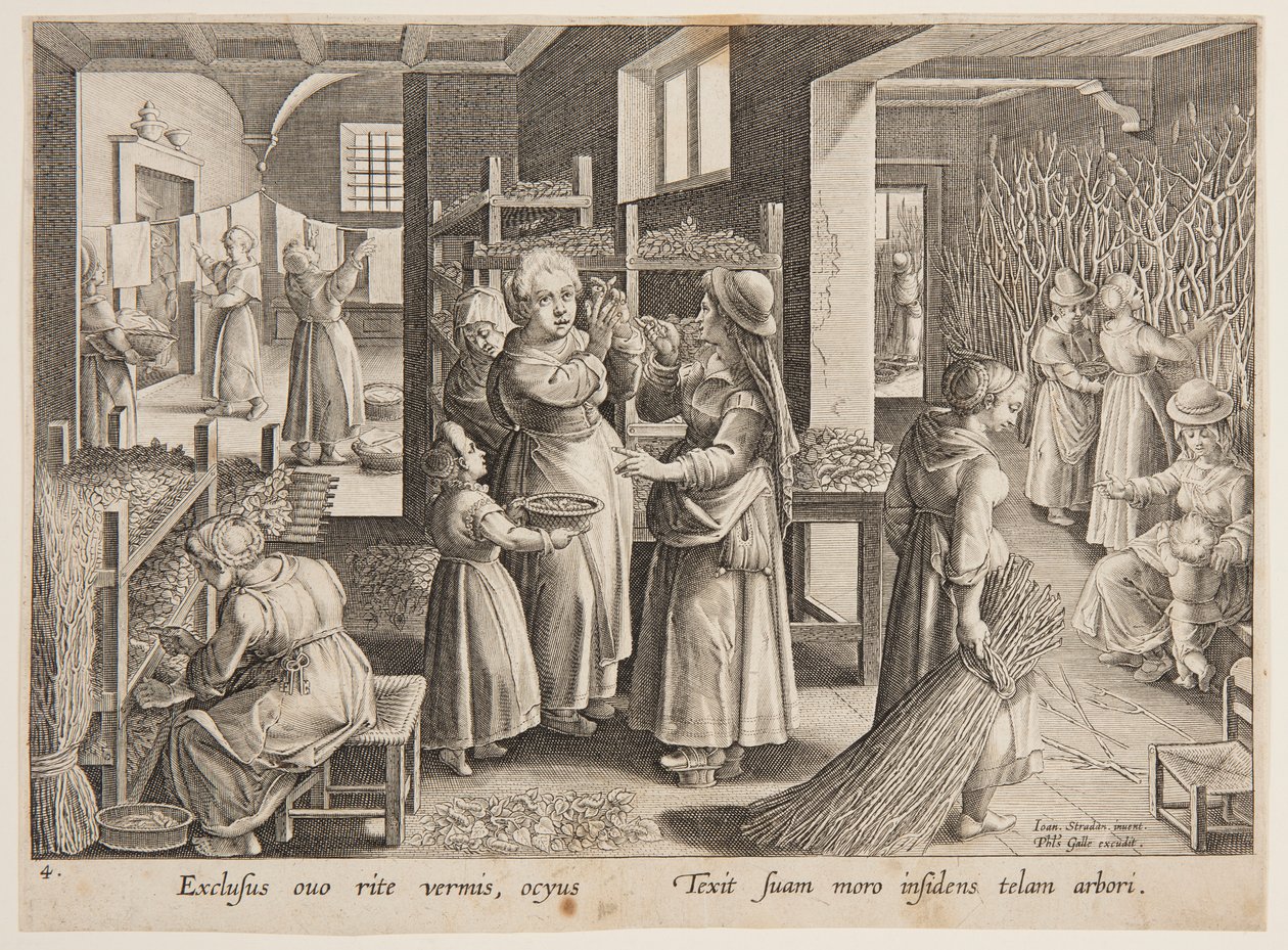 Eperfalevél etetése a selyemhernyóknak alkotó: after Jan van der Straet, called Stradanus