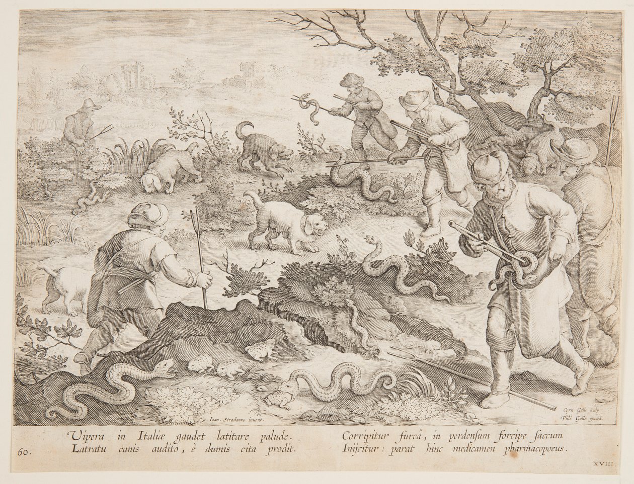 Kígyók vadászata alkotó: after Jan van der Straet, called Stradanus