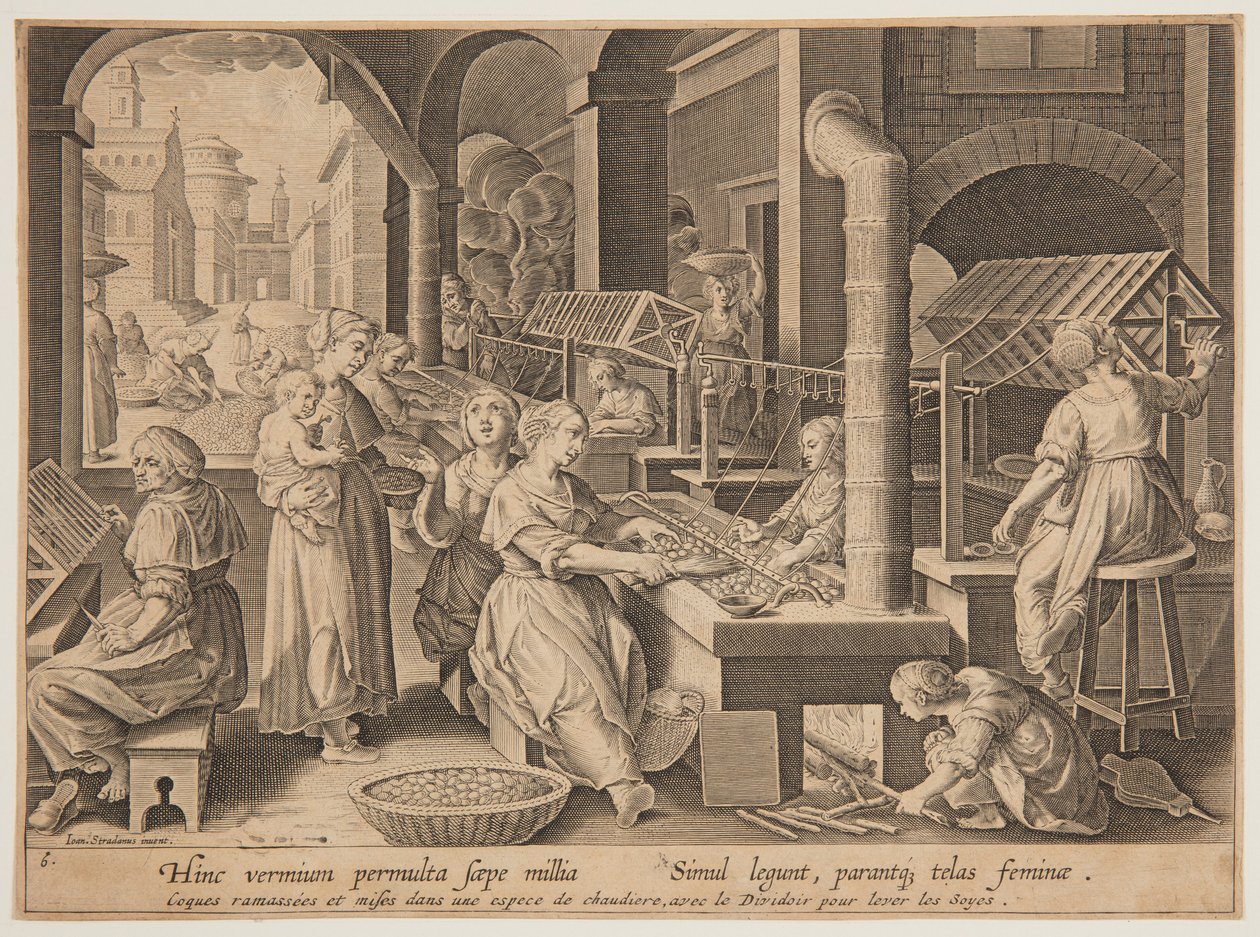 A selyemgubók letekerése alkotó: after Jan van der Straet, called Stradanus