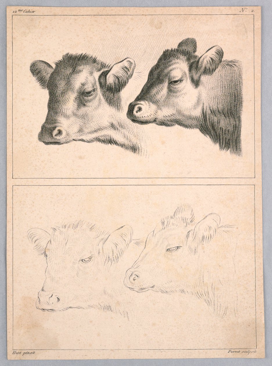 Két tehénfej, tábla sz. 2 a 12me Cahier d