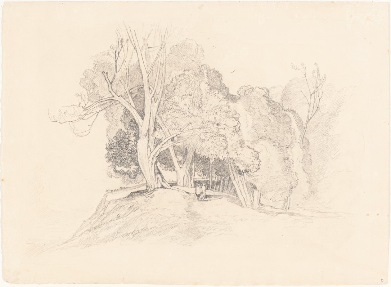 Táj a fákkal alkotó: after John Sell Cotman British 19th Century
