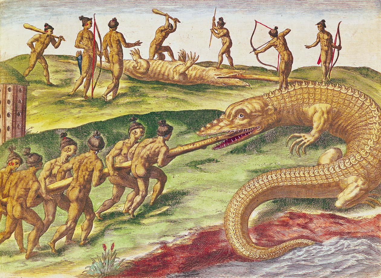 Vadászatkrokodilok, a „Brevis Narratio...”-ból, Theodore de Bry, 1591, (színes metszet) alkotó: after Le Moyne, J.Bry