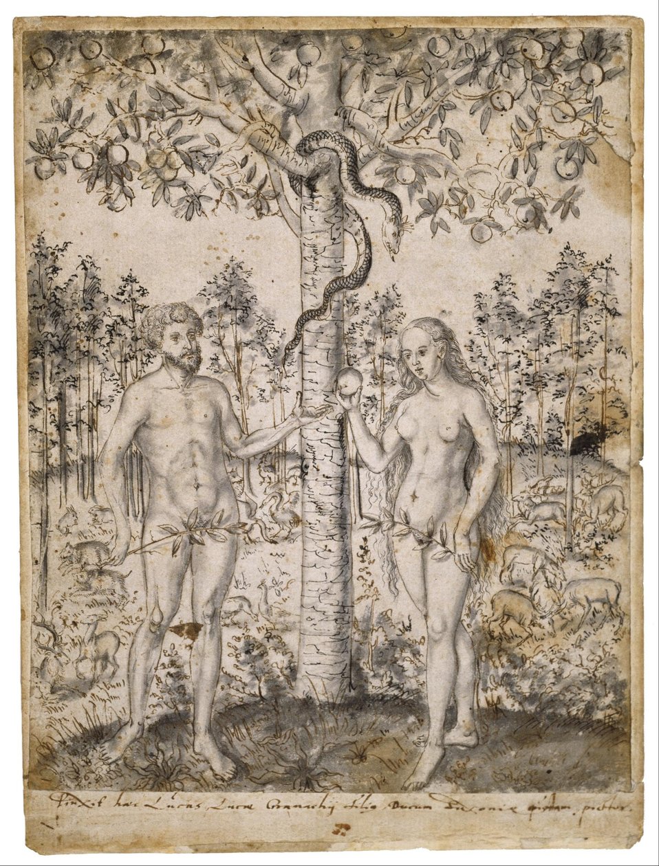 Az ember bukása alkotó: after Lucas Cranach the Younger
