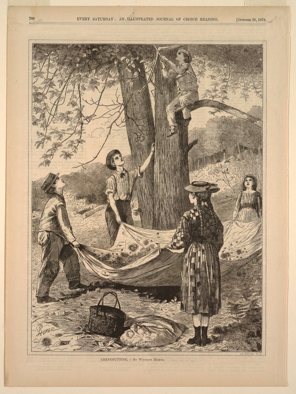 Gesztenyés alkotó: after Winslow Homer