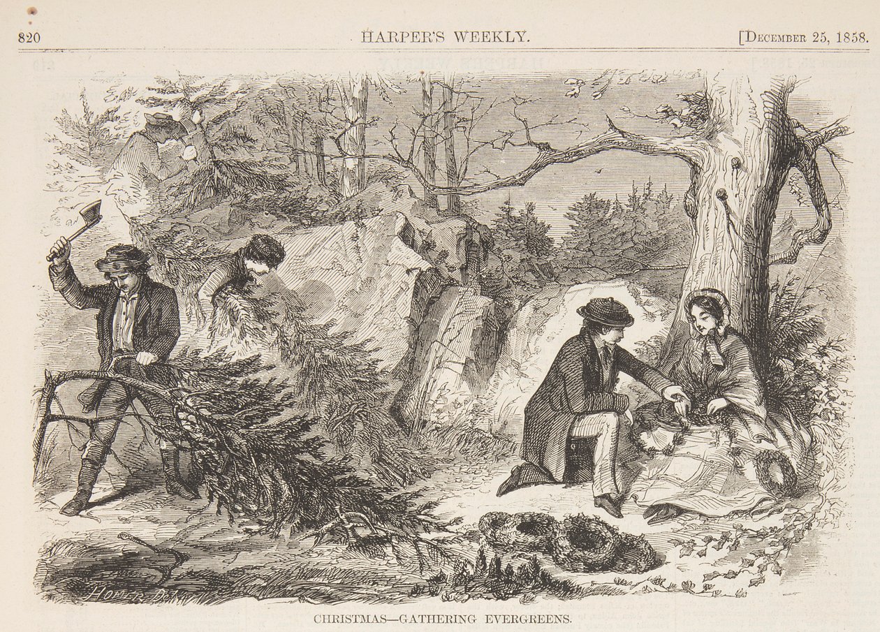 Karácsony – Örökzöldek gyűjtése alkotó: after Winslow Homer