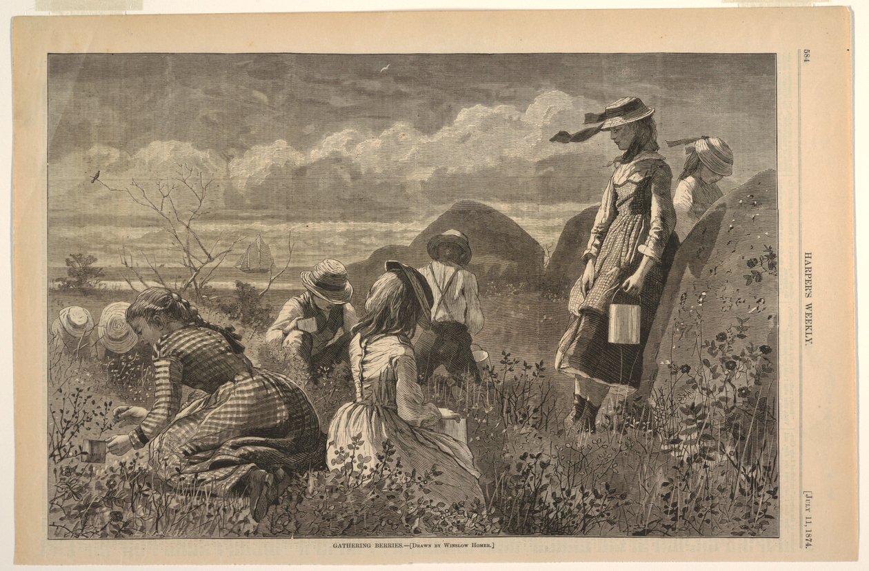 Bogyók gyűjtése alkotó: after Winslow Homer