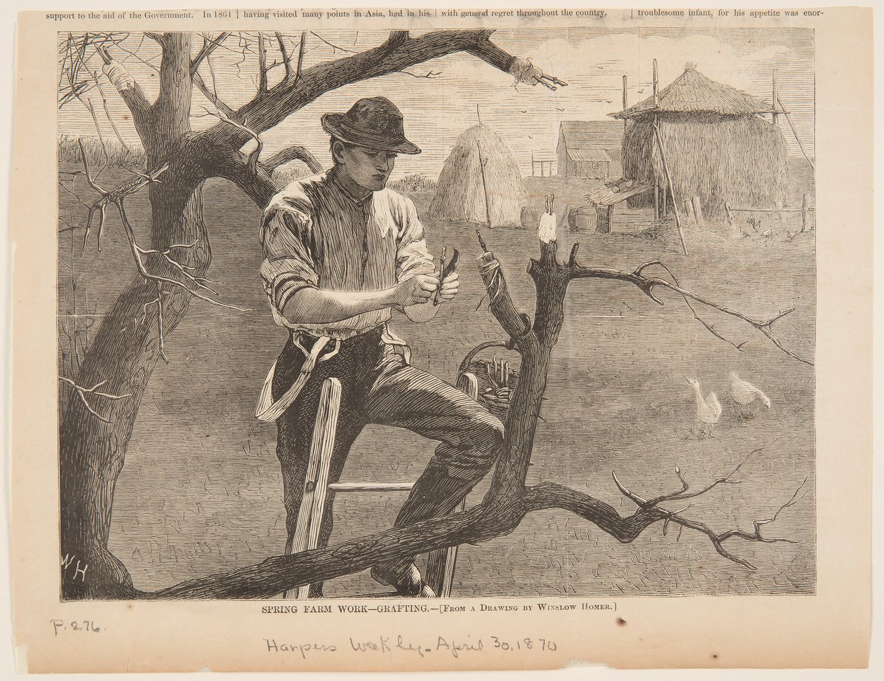 Tavaszi mezőgazdasági munka – oltás alkotó: after Winslow Homer
