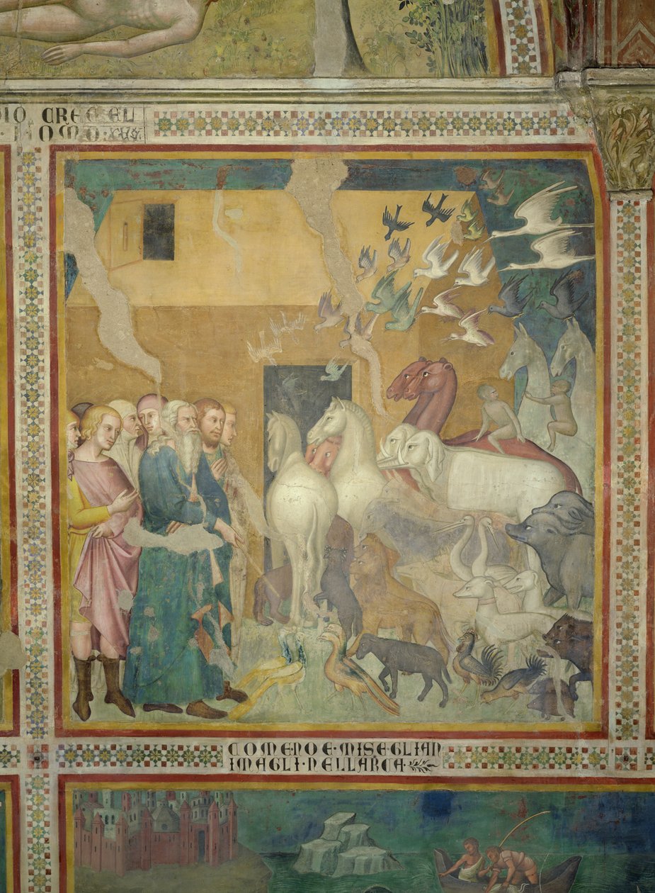 Noé vezeti az állatokat a bárkába, 1356-67 (lásd még: 59303) alkotó: also Manfredi de Battilori Bartolo di Fredi