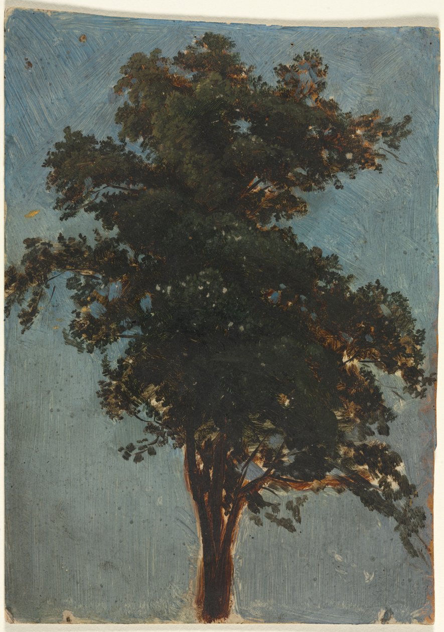 Fa tanulmány alkotó: attributed to Alexandre Calame