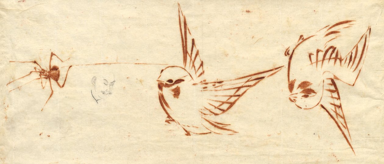 Vázlatoldal madarakkal és pókkal alkotó: attributed to Katsushika Hokusai