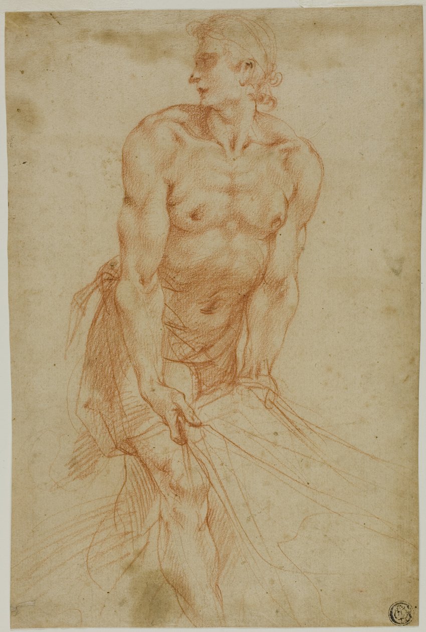 Férfi húzza a lepedőt: Certosa di San Martino sekrestye, Nápoly, 1596] alkotó: called Cavaliere d