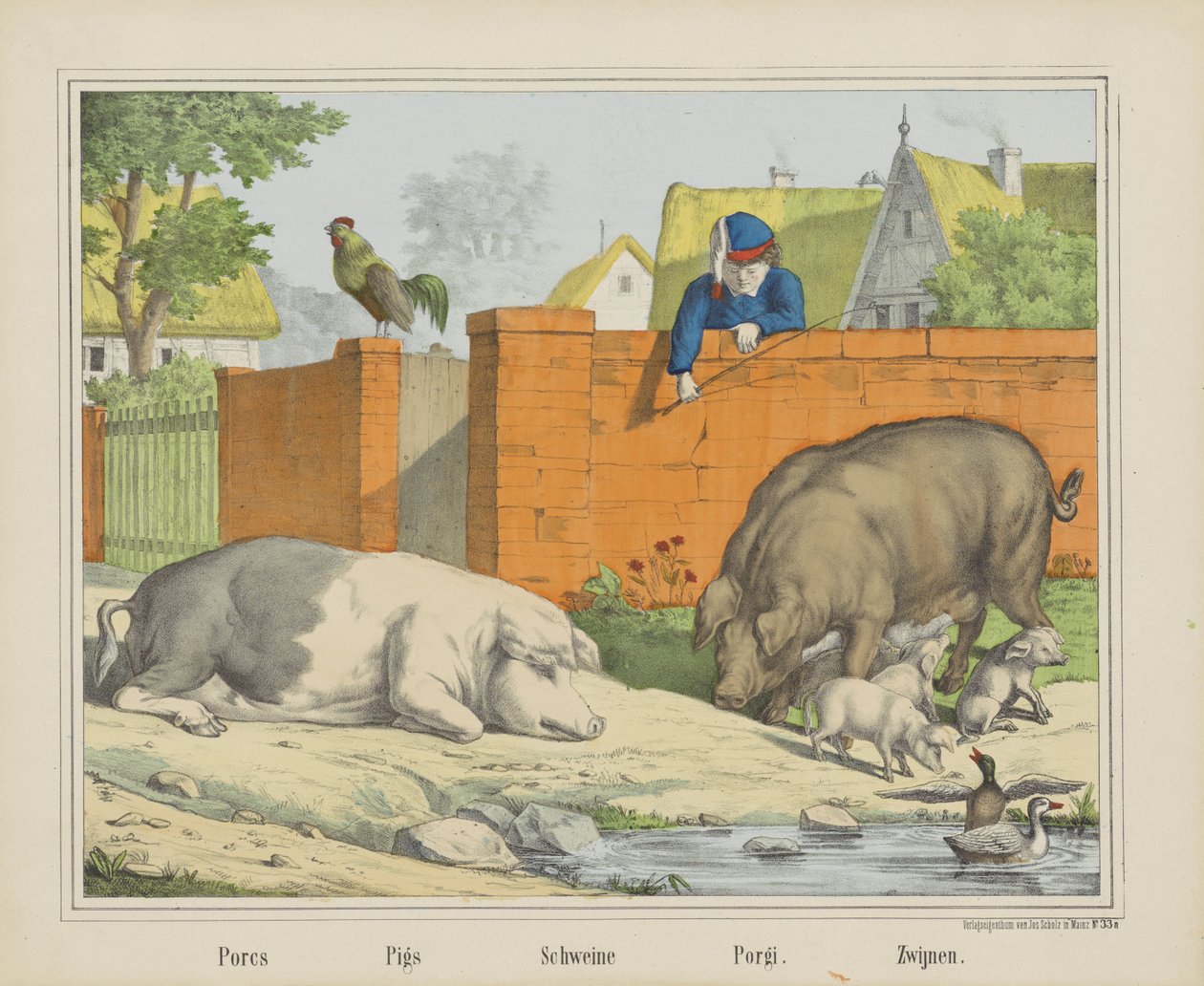 Porcs / Sertés / Schweine / Porgi. / Kanok (cím a tárgyon) alkotó: firma Joseph Scholz