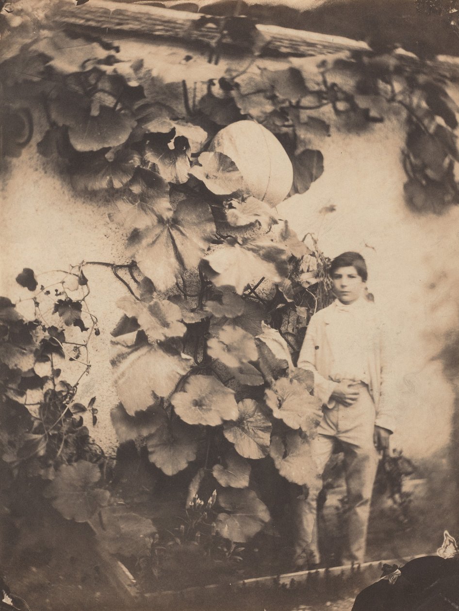 Fiú tökös szőlővel,1854 (fotó) alkotó: freres Varin