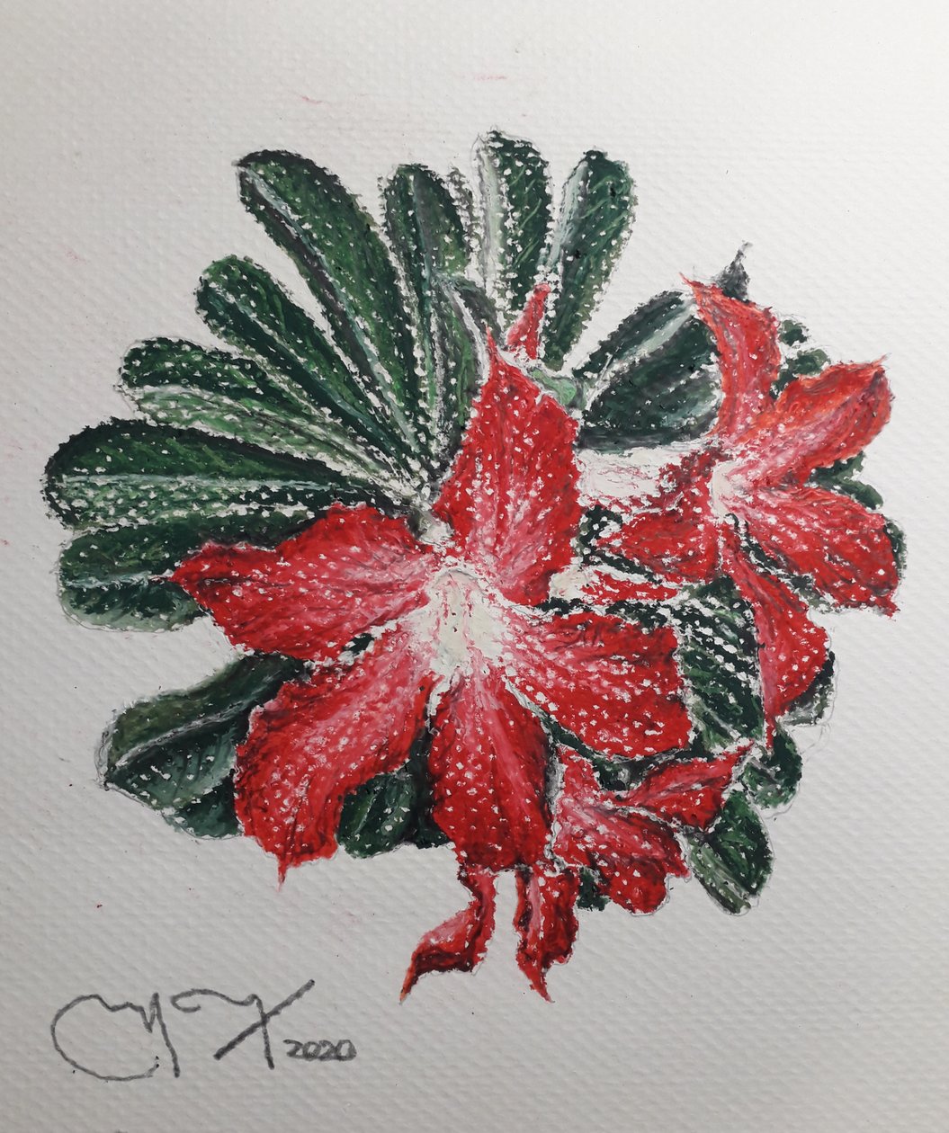 SIVATAGI VIRÁG alkotó: miguelmendez_art.ve