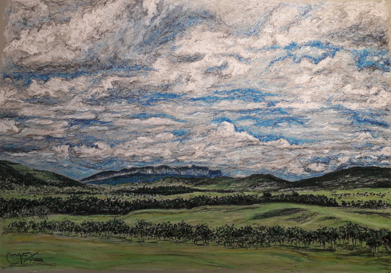A NAGY SZAVANNA VENEZUELA alkotó: miguelmendez_art.ve