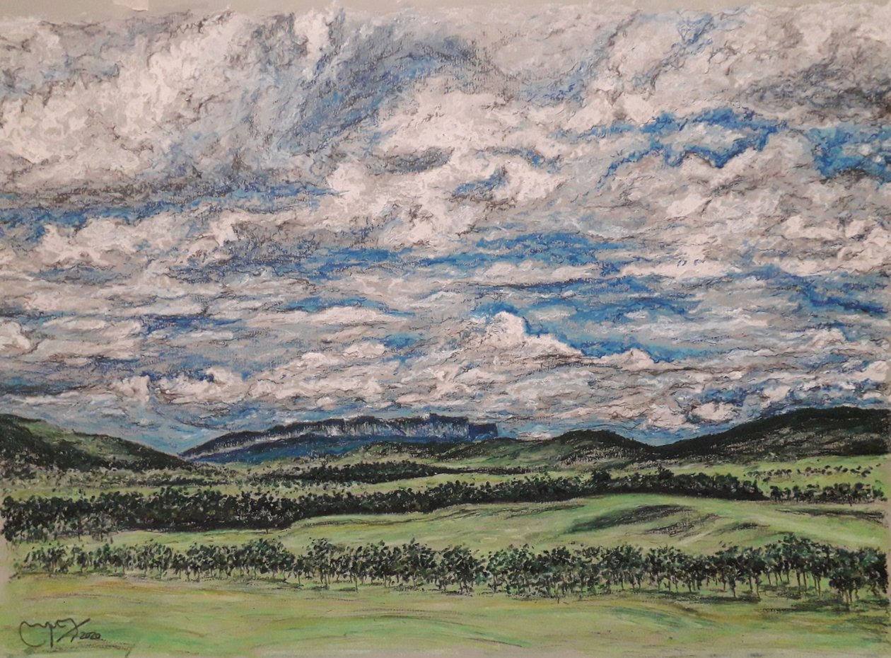 A NAGY SZAVANNA VENEZUELA alkotó: miguelmendez_art.ve